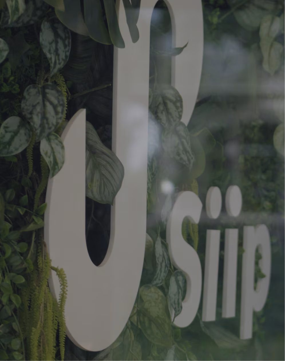 Close-up of the Siip logo